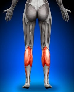 Legg musklene